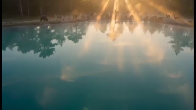 Life Starts with Water